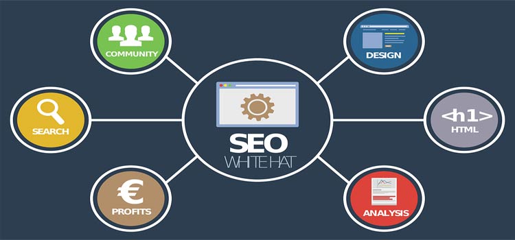 ¿Qué es Seo y por qué Seo es importante?