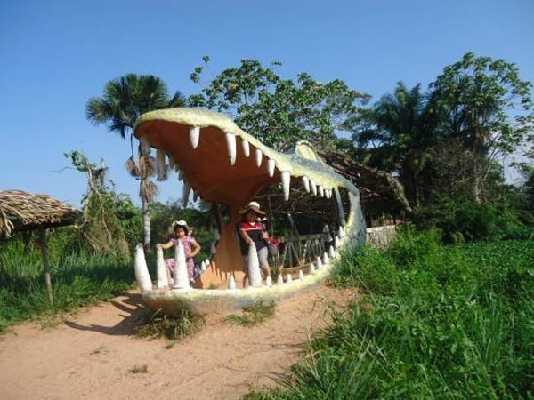 SEO Pucallpa-Pucallpa Peru SEO-Posicionamiento Web Pucallpa-SEO Ucayali